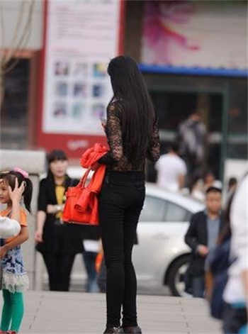 跑狗图每期自动更新全
