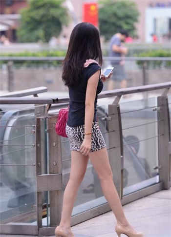 重生成霍爷的小妖精霍辞