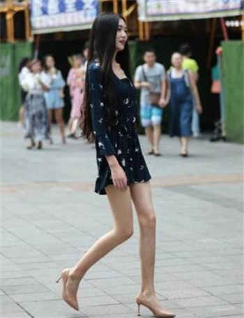 诸葛大力txt下载