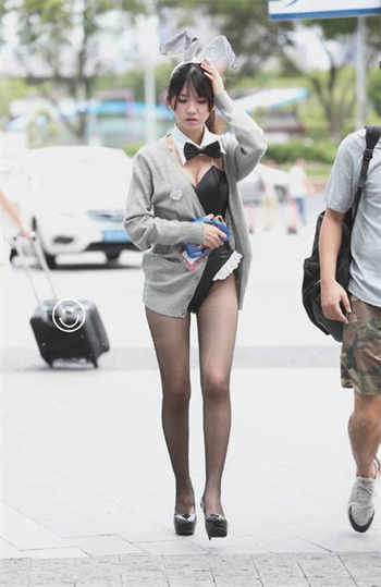 红杏剧情视频免费在线观看
