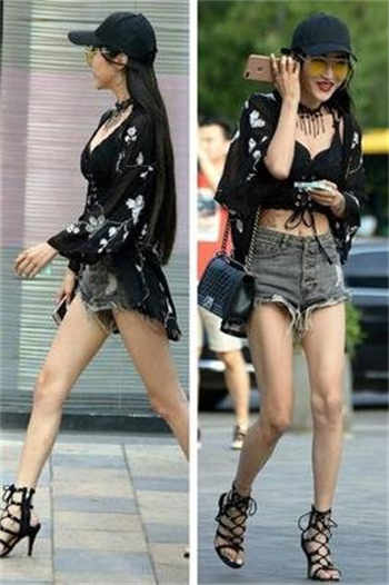 章鱼种子搜索浏览器