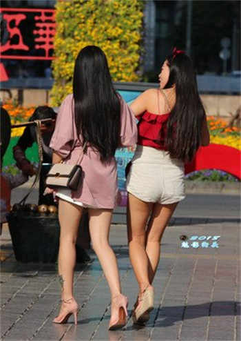 为什么bt搜索不了了